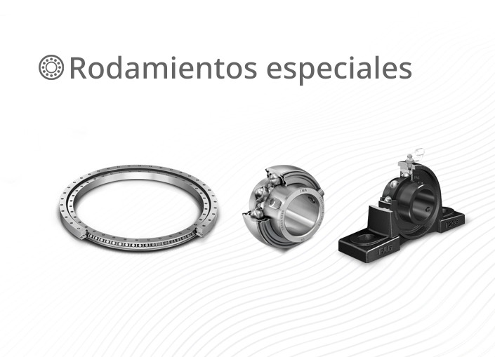 Special Bearings